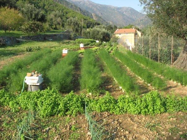 Vila Agriturismo Argentea Arenzano Exteriér fotografie